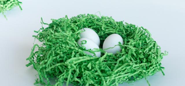 eggs in basket